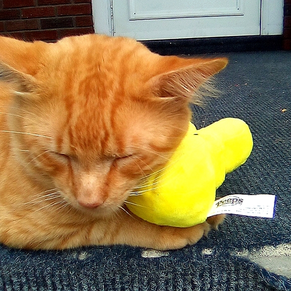 Easter fun pack - Picture 2 of 3